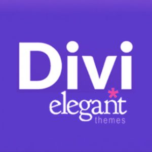 Divi theme builder afbeelding