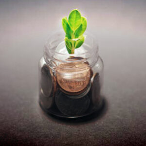 Ecoanalyticts.nl domeinnaam afbeelding